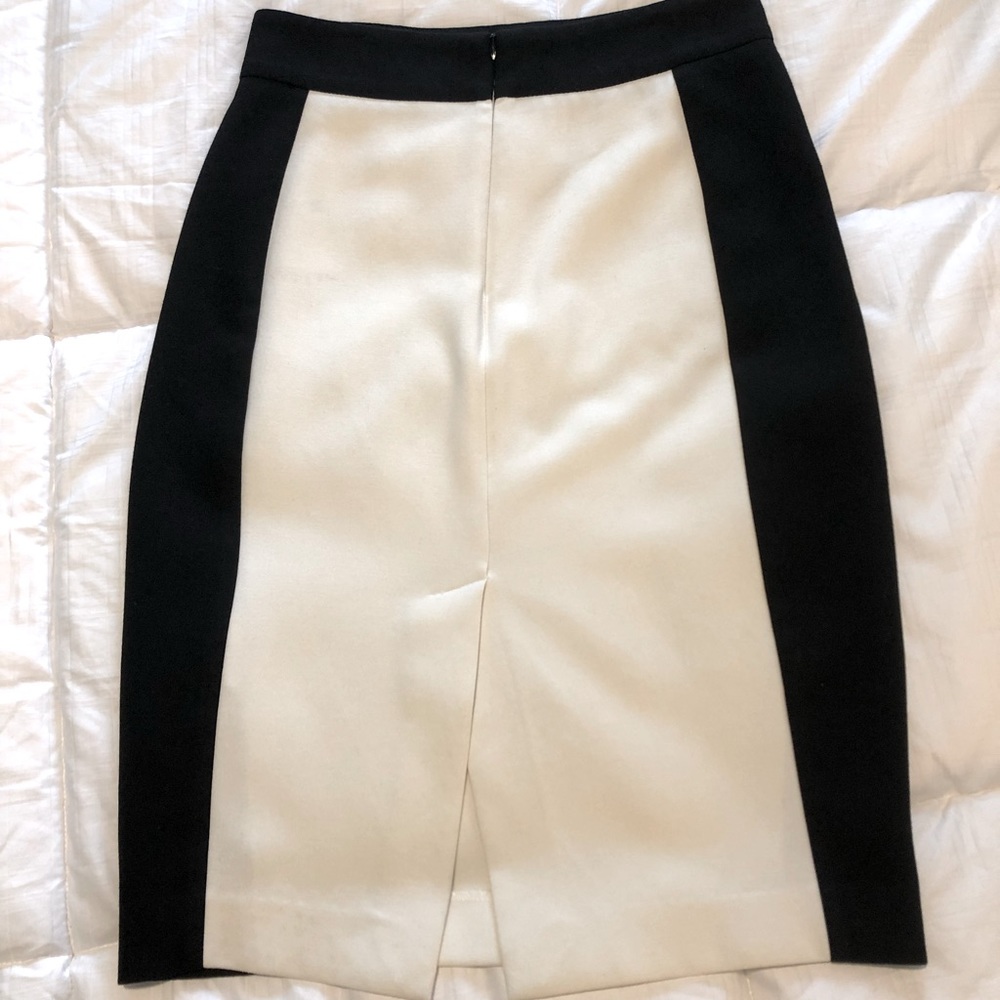 Zara Basic Skirt - image 4